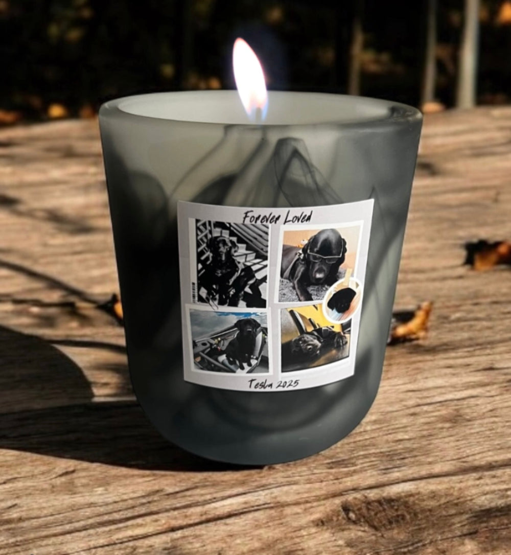 K9 Tesla Scholarship Fund Soy Candle Lavender Sage Frost Jar