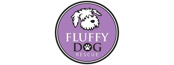 Candles with a Cause: Fluffy Dog Rescue