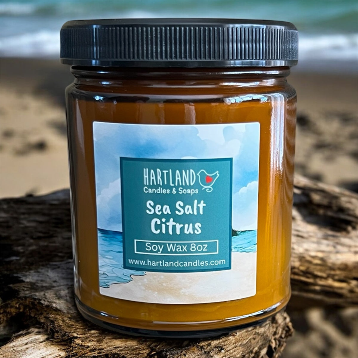 Soy Candle-Sea Salt Citrus