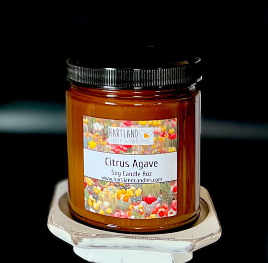 Soy Candle ~ Citrus Agave 8oz