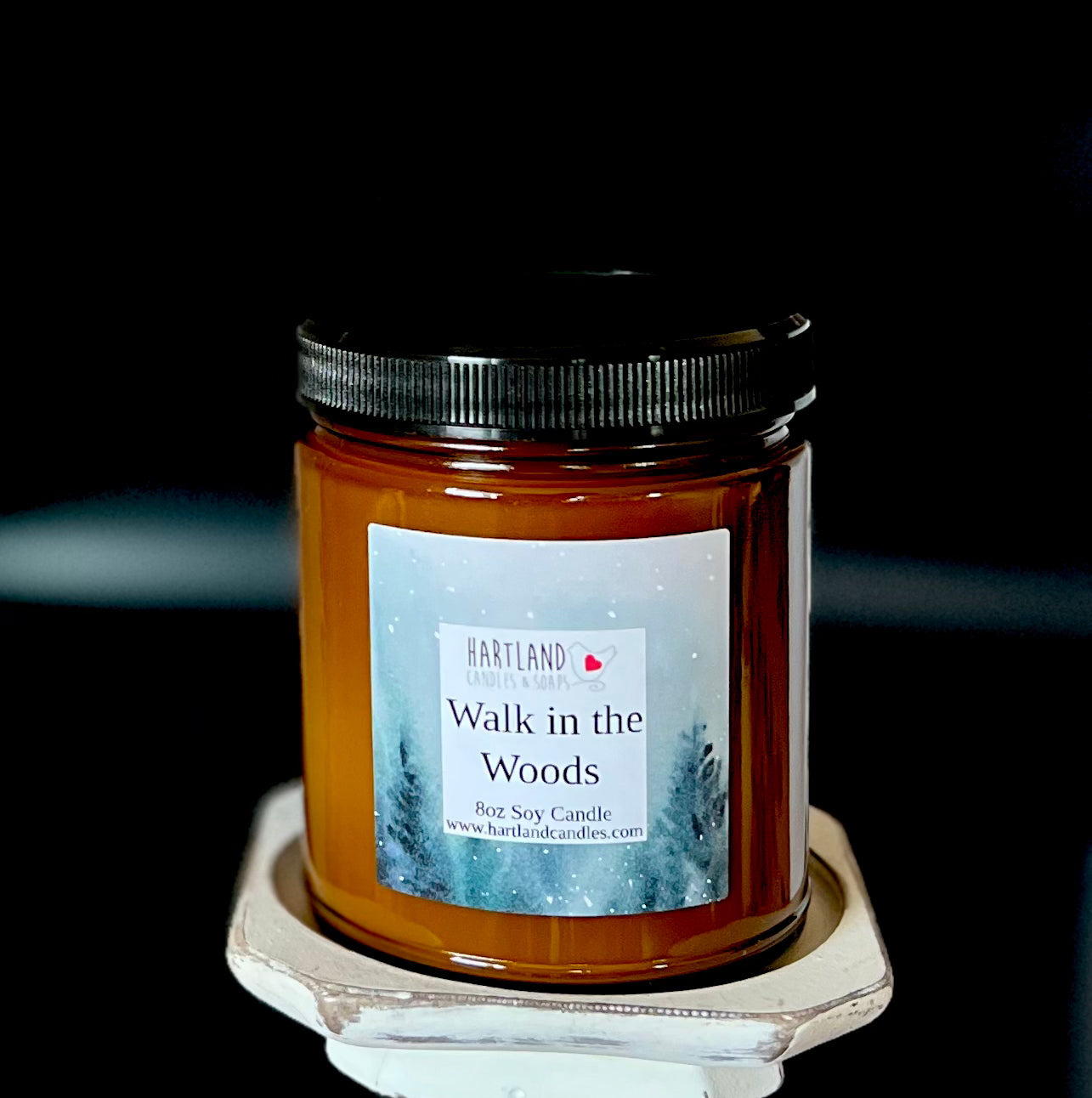 Soy Candle-Walk in the Woods
