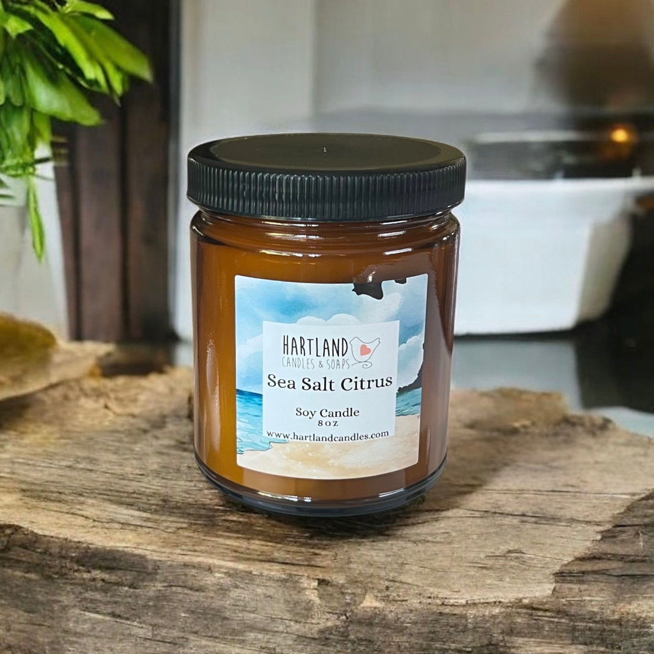 Soy Candle-Sea Salt Citrus